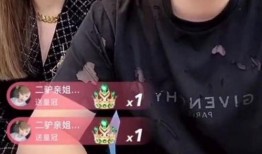 辽宁女老板爆料视频,揭秘企业内幕与真实人生