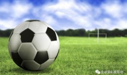 荷兰足球爆料视频播放大全,精彩瞬间尽收眼底